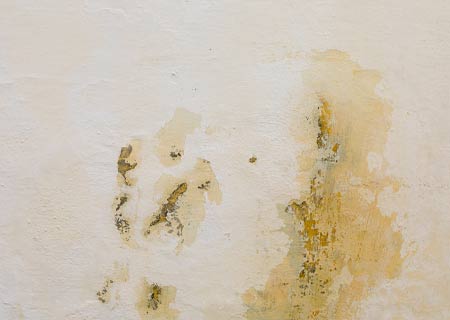 Signs of penetrating damp