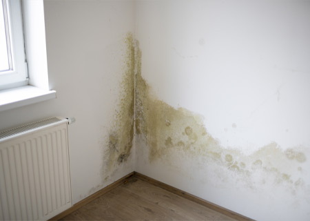 Signs of rising damp